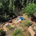Cabin In Da Woods